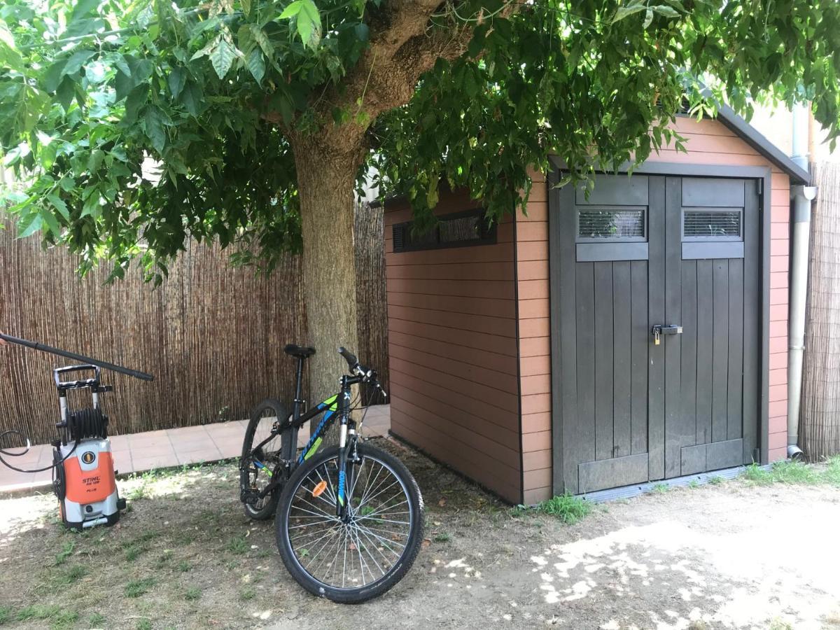Apartamento "El Lila" - Parking Incluido Олот Экстерьер фото